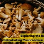 Dehydrating Mushrooms in Air Fryer