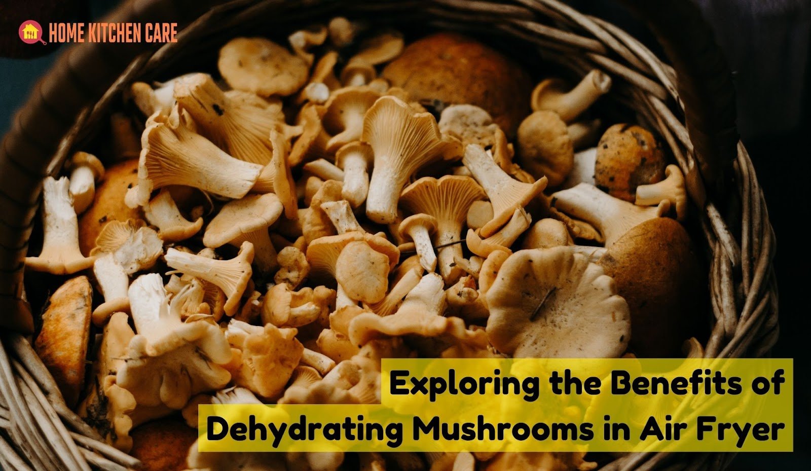 Dehydrating Mushrooms in Air Fryer