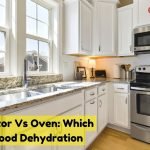 Dehydrator vs Oven