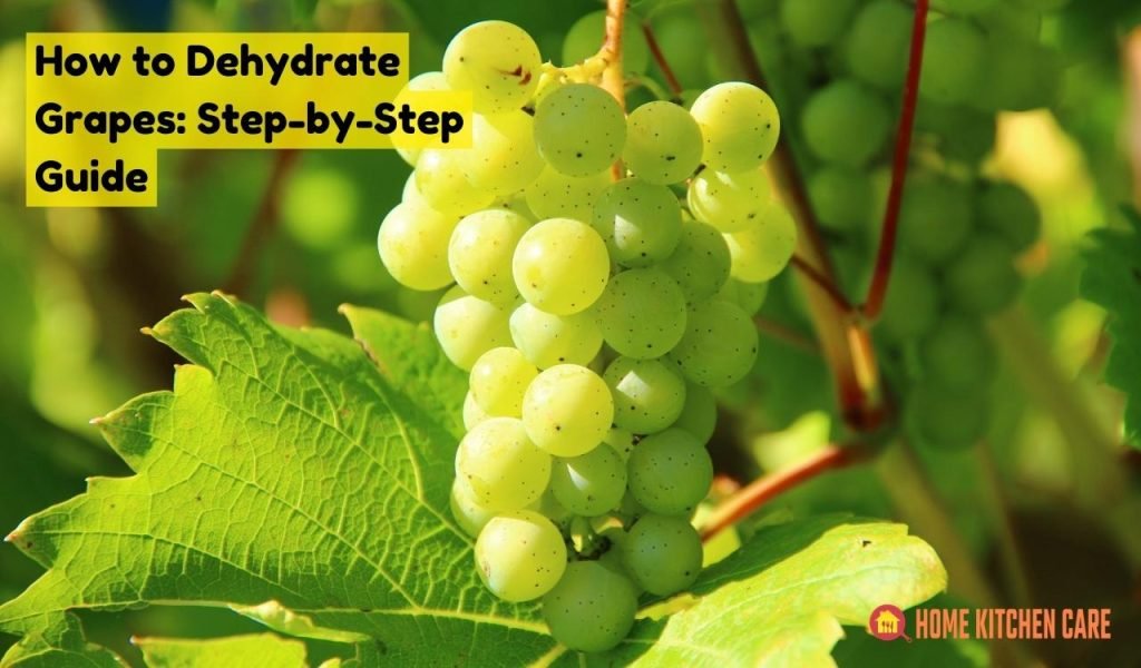 How to Dehydrate Grapes: Step-by-Step Guide