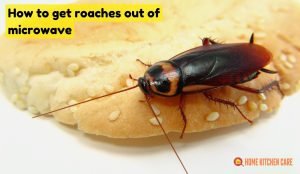 How to Get Roaches Out of Microwave
