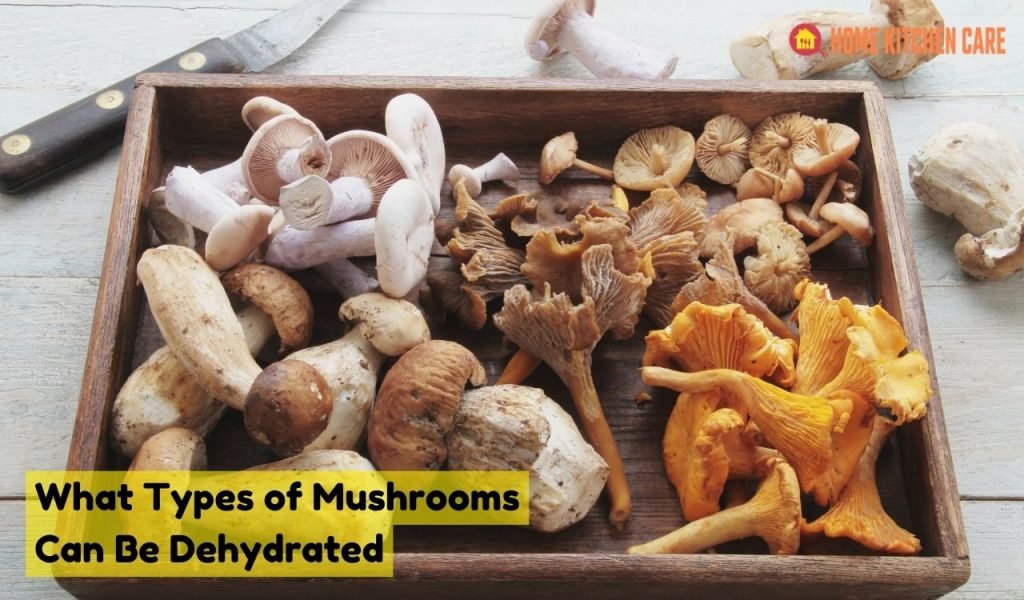 What Types of Mushrooms Can Be Dehydrated