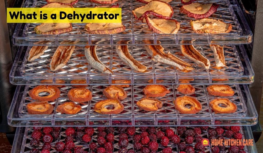 What is a Dehydrator? And How does a Dehydrator Work?