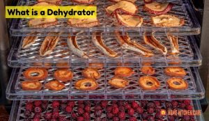 What is a Dehydrator