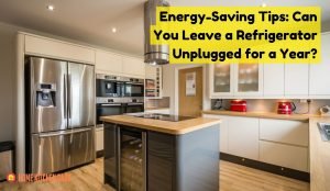 Can you leave a refrigerator unplugged for a year