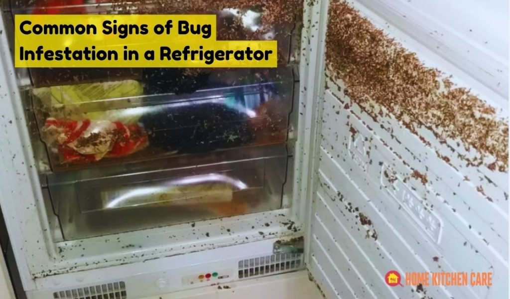 Common Signs of Bug Infestation in a Refrigerator