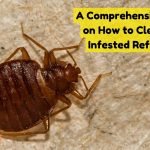 How to clean a bug infested refrigerator