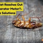 How to get roaches out of refrigerator motor