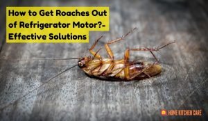 How to get roaches out of refrigerator motor
