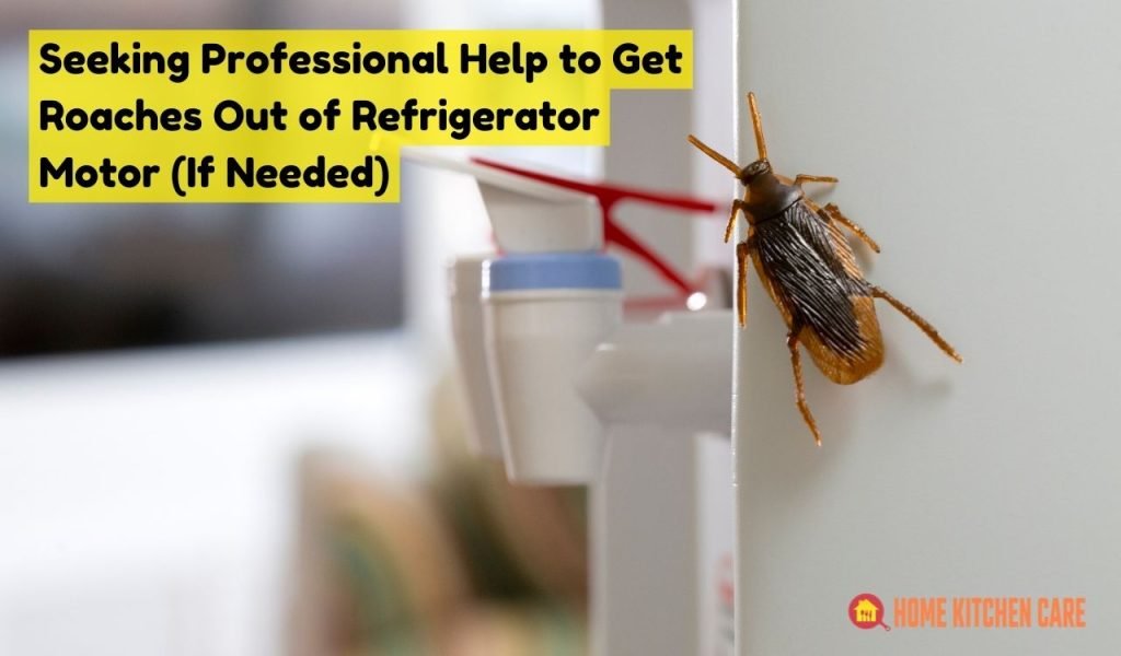 Seeking Professional Help to Get Roaches Out of Refrigerator Motor (If Needed)