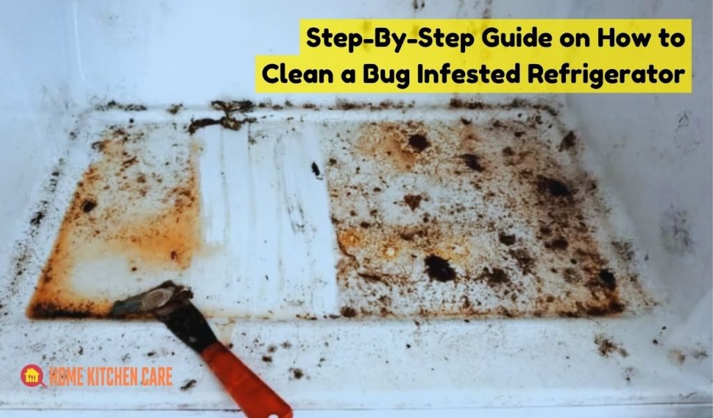 Step-By-Step Guide on How to Clean a Bug Infested Refrigerator
