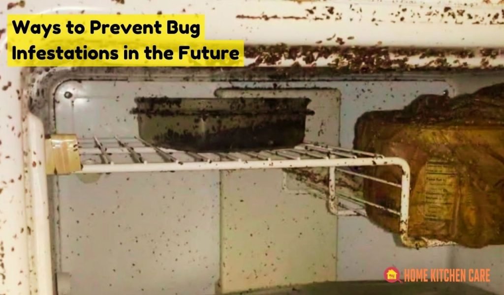 Ways to Prevent Bug Infestations in the Future